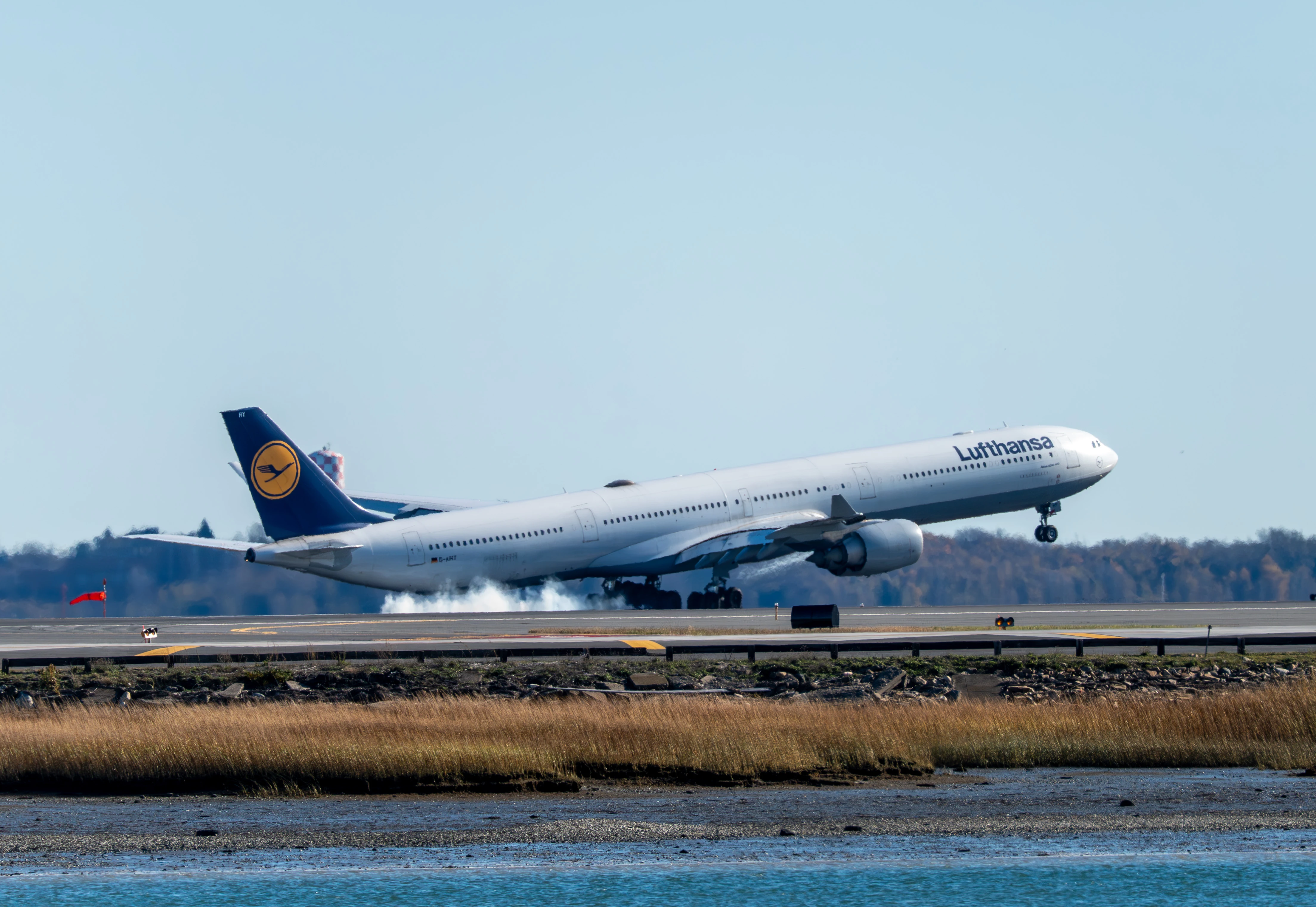 Lufthansa A340-600 touching down in daylight, with tyre smoke at the main gear and marsh grass in the foreground