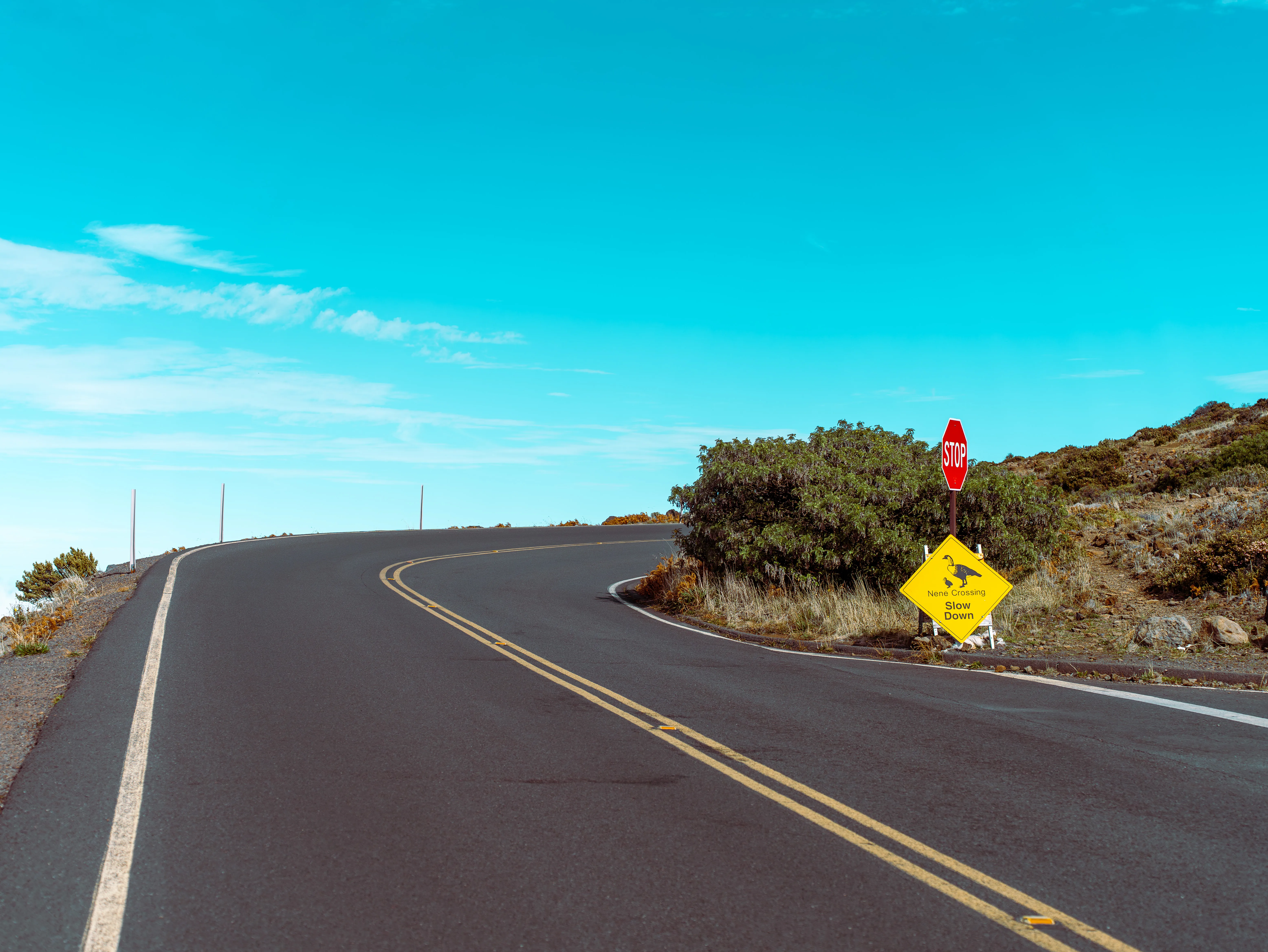 At the End of the World